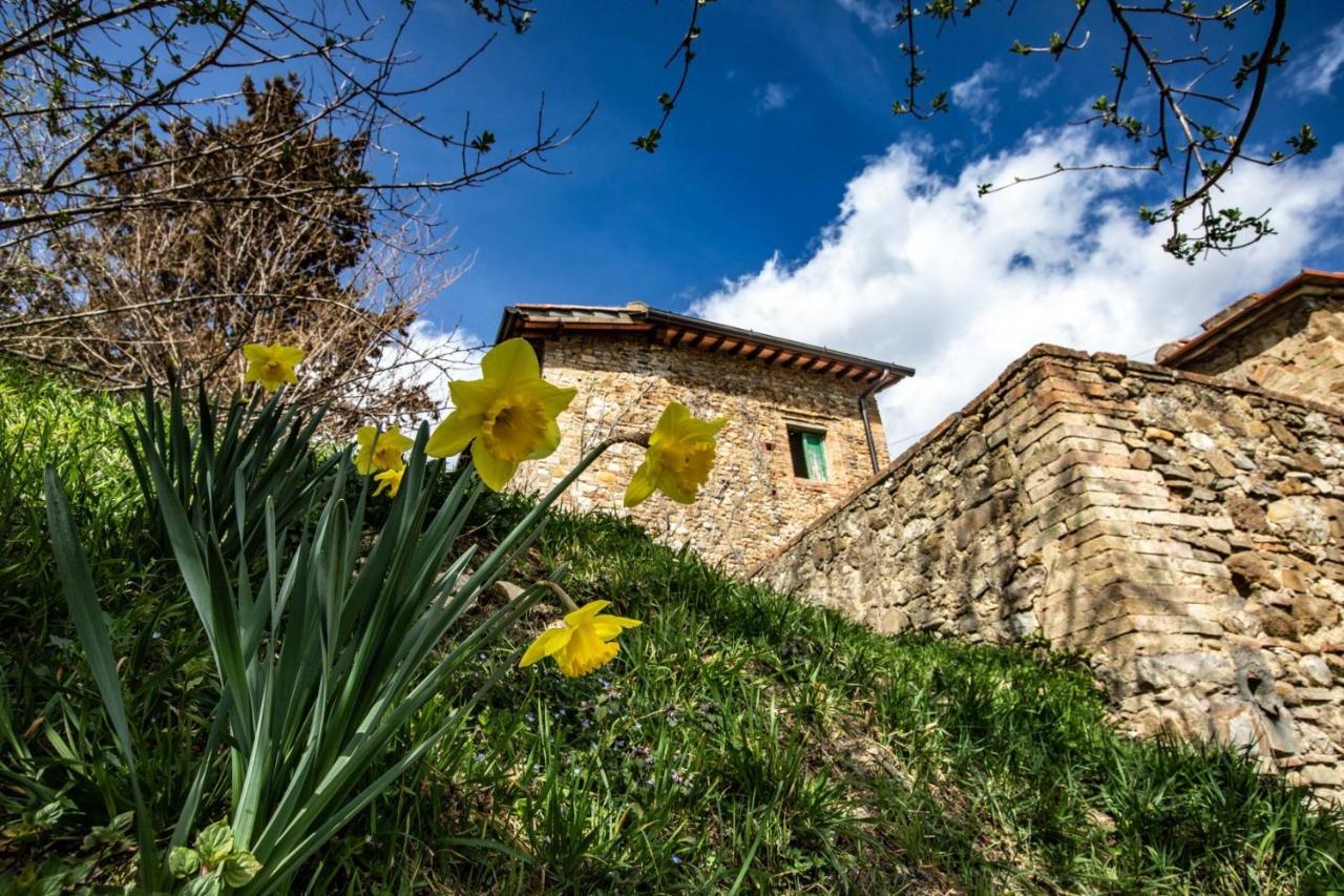 Campora House Hotel Tavarnelle Val di Pesa ภายนอก รูปภาพ