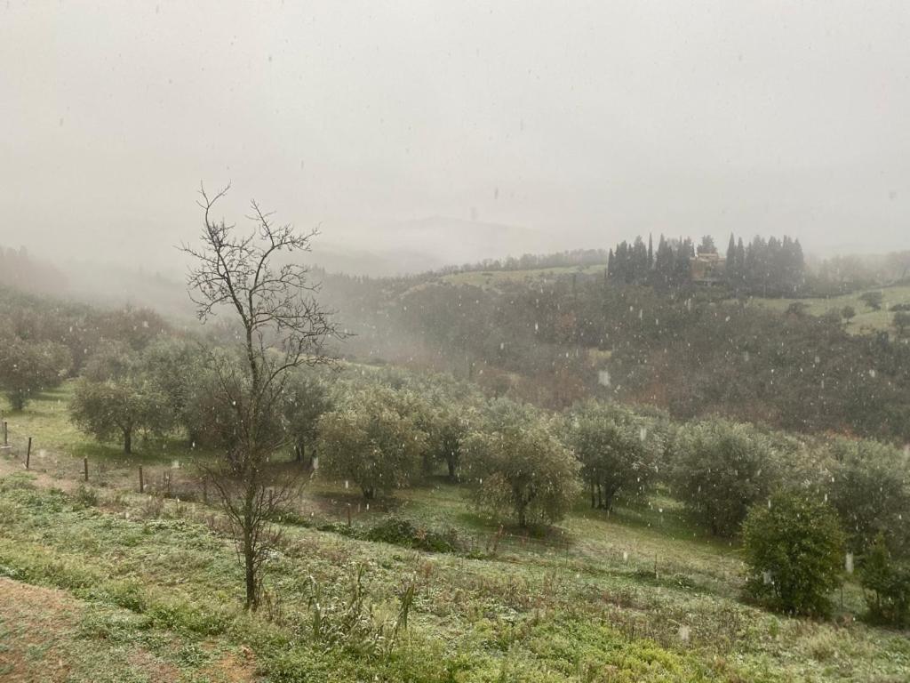 Campora House Hotel Tavarnelle Val di Pesa ภายนอก รูปภาพ