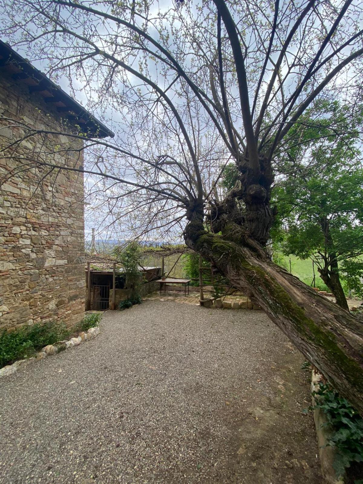 Campora House Hotel Tavarnelle Val di Pesa ภายนอก รูปภาพ